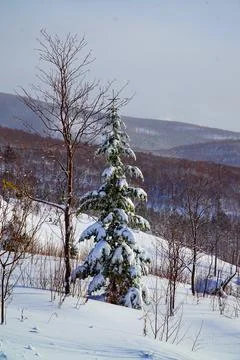 Winter day after the cyclone Stock Photos