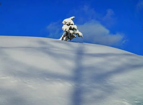 Winter day after the cyclone Stock Photos