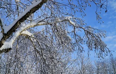 Winter day after the cyclone Stock Photos
