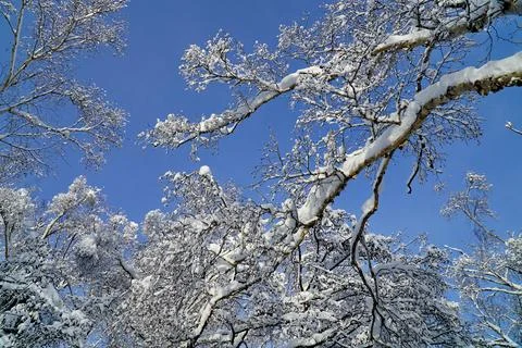 Winter day after the cyclone Stock Photos