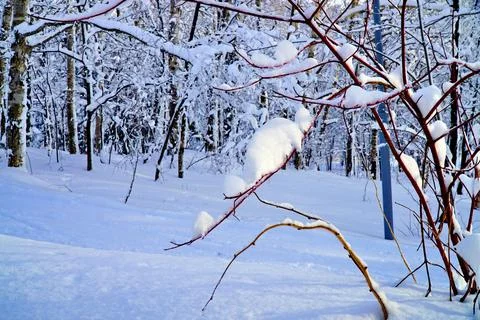Winter day after the cyclone Stock Photos