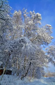 Winter day after the cyclone Stock Photos