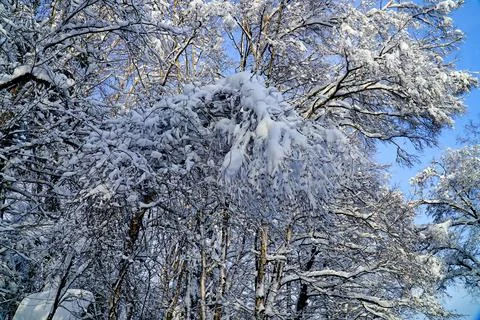 Winter day after the cyclone Stock Photos
