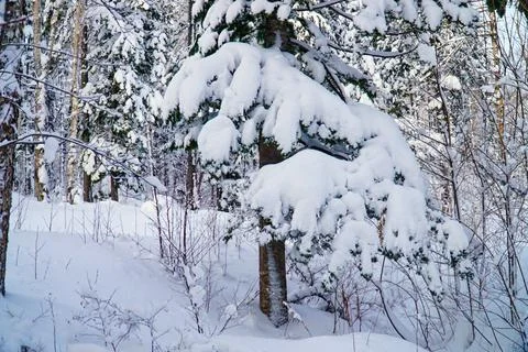 Winter day after the cyclone Stock Photos