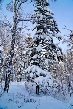 Winter day after the cyclone Stock Photos