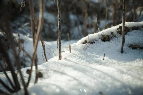 Winter Day at the Field Stock Photos