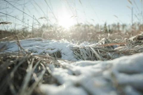 Winter Day at the Field Stock Photos