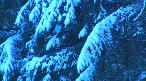Winter day Video stock 10212453