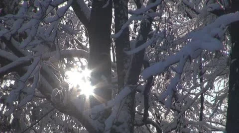 Winter day Stock Footage 10231242