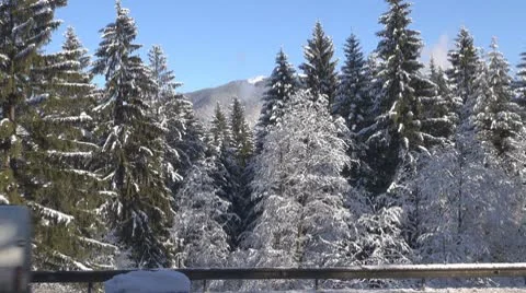 Winter day Видео 10234781