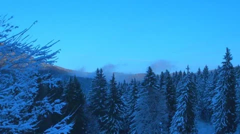 Winter day Stock-Footage 10309585