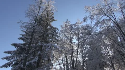 Winter day Stock Footage 10310539