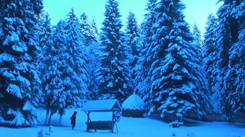 Winter day Stock-Footage 10310707
