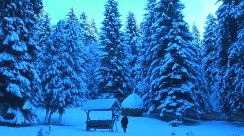 Winter day Stock-Footage 10311230