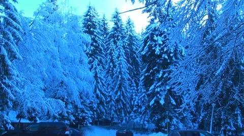 Winter day Vídeos de archivo 10311834