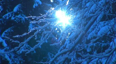 Winter day Stock-Footage 10318015