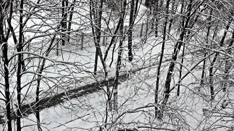 Winter day Stock Footage 10573895