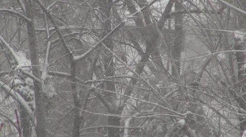 Winter day Stock-Footage 11605101