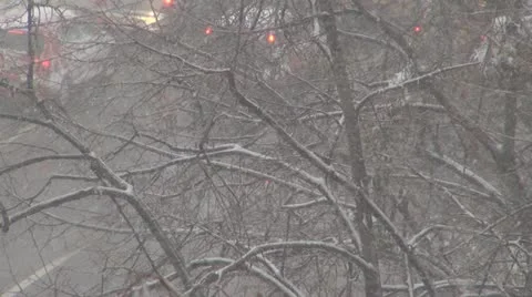 Winter day Видео 11605325