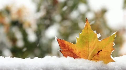 Winter day Stock Footage