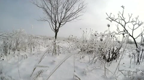 Winter day Stock Footage 59640055