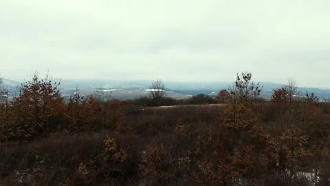 Winter day Stock Footage 301902022