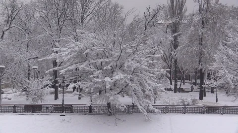 Winter day footage 库存影片 100198075