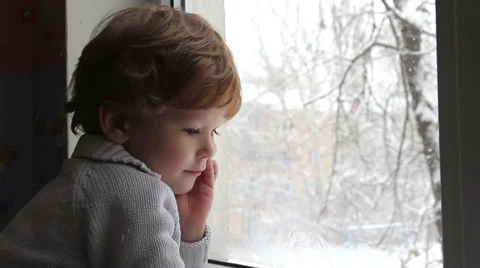 Winter Day HD Stock Footage 31542486