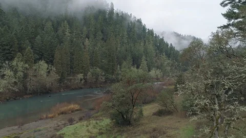 Winter Day in Oregon Stock Footage 119993051