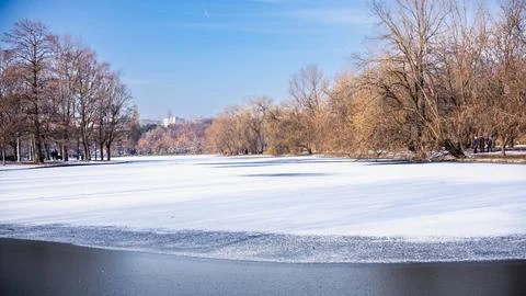 A winter day in the park Stock Photos