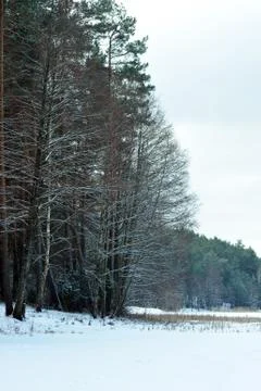 Winter day Stock Photos