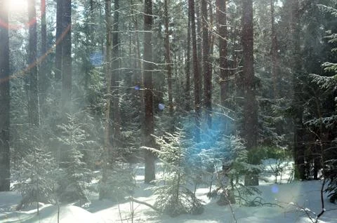 Winter day Stock Photos