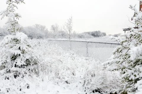 Winter day Foto stock