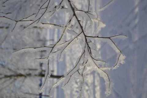 Winter day Stock Photos