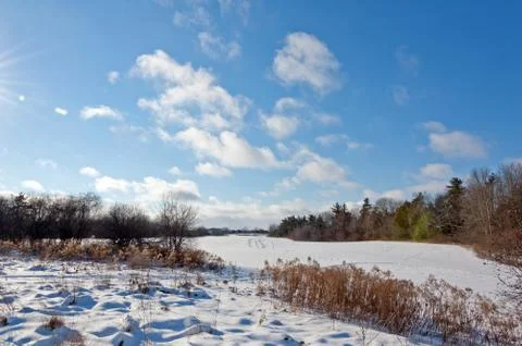 Winter day Stock Photos