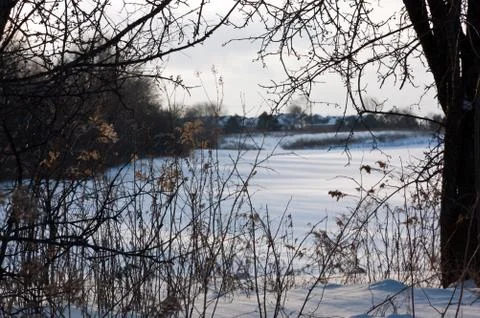 Winter day Stock Photos