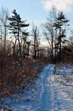 Winter day Stock Photos