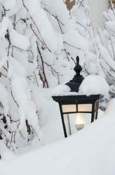 Winter day Stock Photos