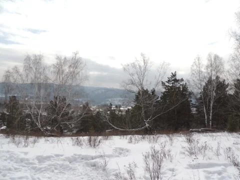 Winter day Stock Photos