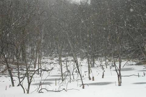 Winter Day Stock Photos