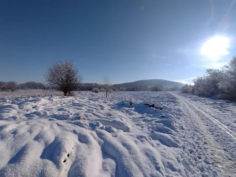 A winter day Stock Photos