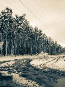 Winter day Stock Photos