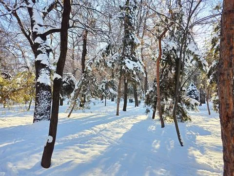 Winter day. Stock Photos