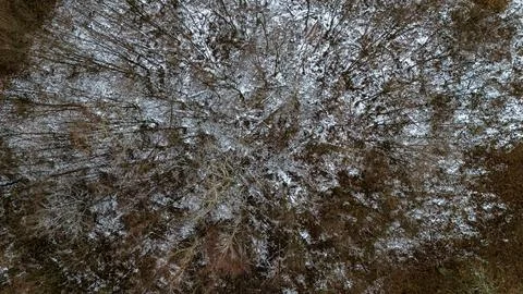 Winter day Stock Photos