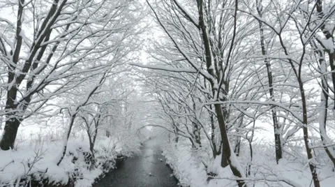 Winter day at river and snow covered trees Stock Footage 30715043