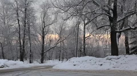 Winter day, trees covered with snow and sunset in the background. 2013 Stock Footage 49096062