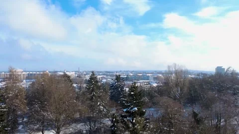 Winter Day View of a Snowy Landscape With Trees and City Buildings in the Stock Footage 327907450