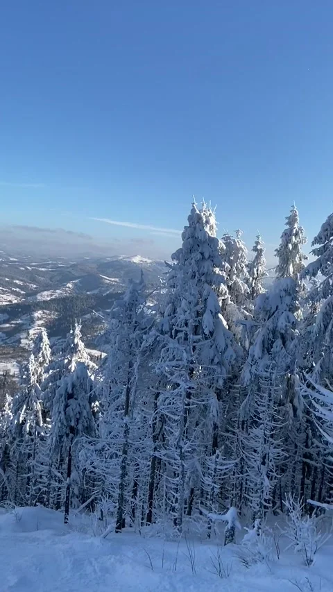 Winter days Stock Footage 152519939