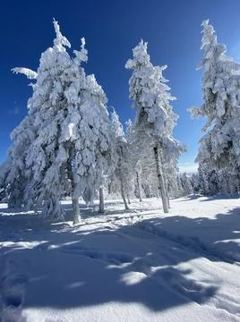 Winter days Stock-Fotos