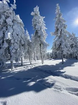 Winter days Stock-Fotos